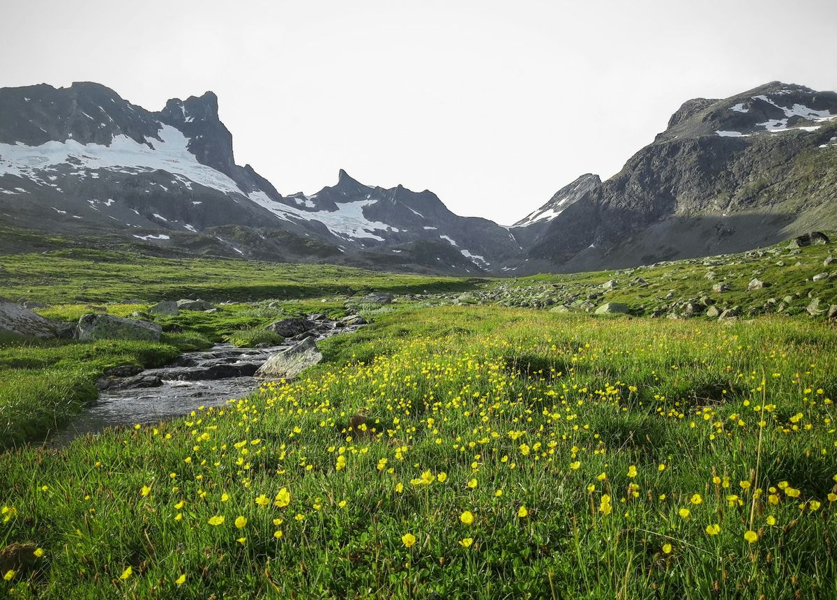 Høyt fjellandskap med snø og bre i Jotunheimen nær Galdhøpiggen