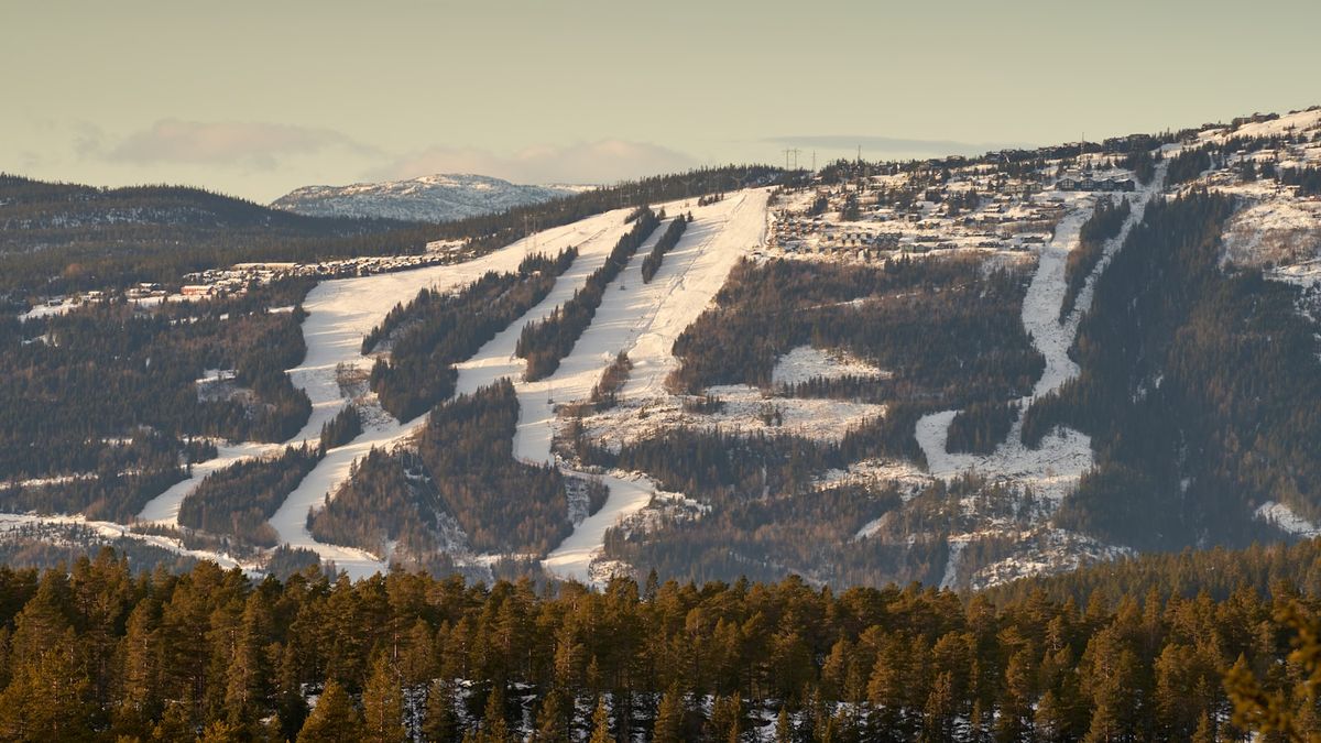 Snødekte alpinbakker skåret gjennom skogkledd fjellside ved et norsk skisenter