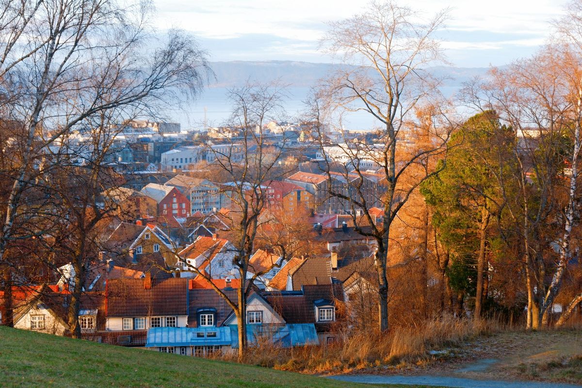 Boligområde med eneboliger i Norge