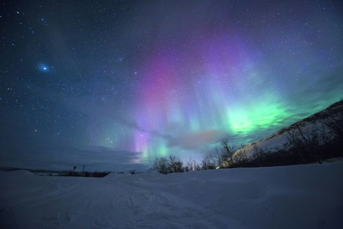 Nordlys over et snødekt landskap ved Tromsø i Nord-Norge